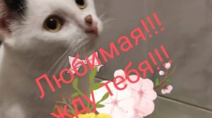 Дерзость какая так спрятаться чтобы никто не нашёл.