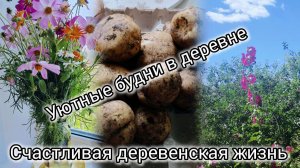 Уютный тихий деревенский влог, счастливая жизнь в деревне, в гостях у мамы, уборка, заказ вкусняшек