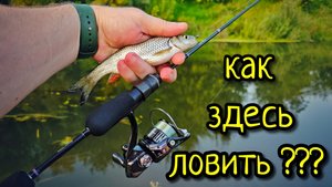 МОРМЫШИНГ, КОГДА ВСЁ ЗАРОСЛО !!! КАТУШКА ДЛЯ МОРМЫШИНГА NAUTILUS FUKURU 2000SS, НАС ОПЯТЬ ОБМАНУЛИ