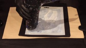 Cadence Velvet Powder & Velvet Shimmer & Applications