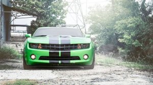 ELVIS ВЕРНУЛСЯ!!!!!!!!!!!! играю в ривалс.