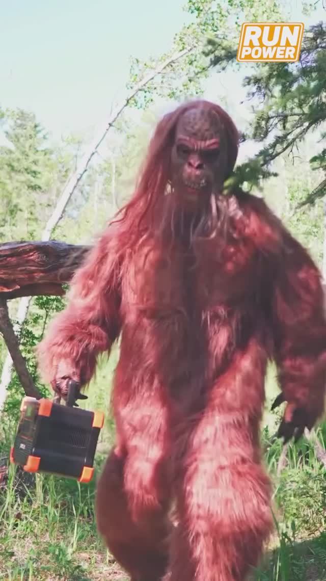 Йети тоже любит тусовки c Pecron E600LFP смотреть онлайн