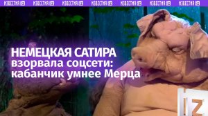 Немецкая сатира расходится по соцсетям: бравый солдат Швайн оказался умнее Мерца