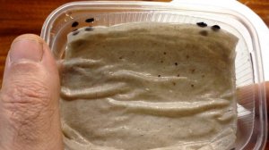 Клубника из семян без пикировки. Часть 1. Стратификация. Посев. Всходы.