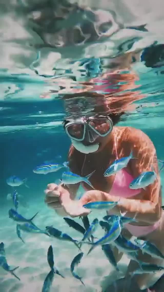 Что вас ждет во время тура на Мальдивы — Йога Тревел смотреть онлайн