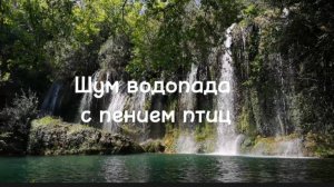 Звуки природы, шум водопада, звуки леса, пение птиц, музыка для релаксации.