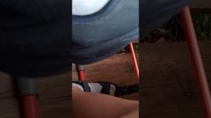 24 часа в домике (Runt)