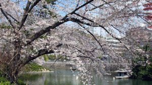 Оттепель. Поёт Валентина Дробышева.