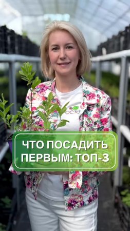Как создать зеленый оазис всего за 3 года: топ-3 быстрорастущих растения 🌱✅