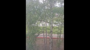 WhatsApp Video 2025-07-28 at 16.21.08