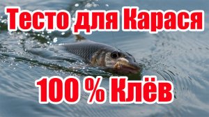 100% Клёв Насадка на Карася Карп Лещ Плотва На что ловить карася