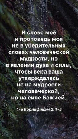 «Слово моё не в убедительных словах человеческой мудрости…» #евангелие #Библия #shorts