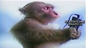 НУ КУПИ МНЕ ЭЛЬБРУС! (Моя любимая песня)