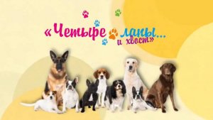 ЦДРИ - Дог-Шоу "Четыре лапы и хвост" 30.11.25г.