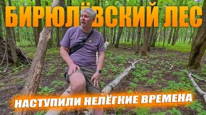 Нелёгкие времена. Это нужно пережить! Антидепрессивная прогулка по лесу.