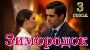Зимородок 3 сезон. 26 Серия Обзор пересказ