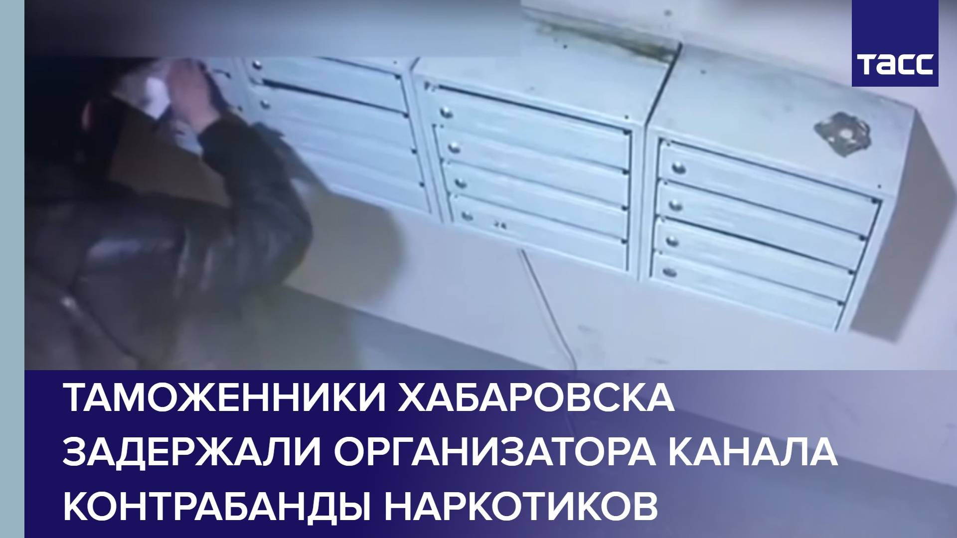 Таможенники Хабаровска задержали организатора канала контрабанды наркотиков