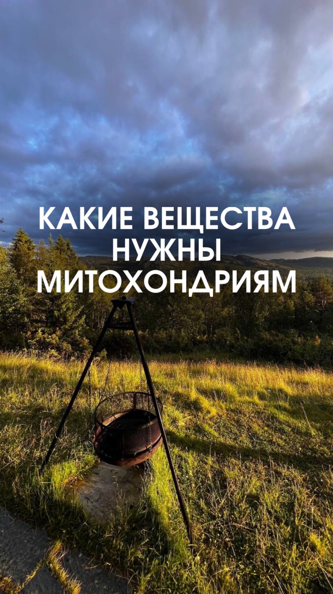 Какие вещества нужны митохондриям смотреть онлайн