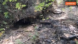 Нефть вернулась в ручей после его очистки