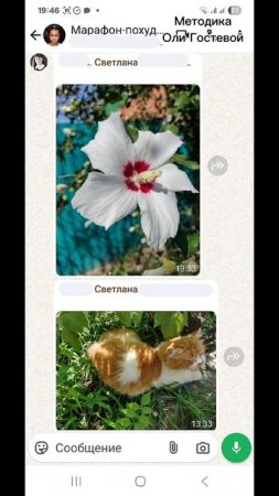 Марафон, чат ♡ Похудеть.
Марафон. Меню.