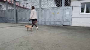 Социальный видеоролик №2