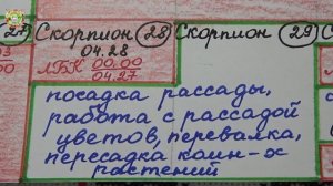 Цветочный гороскоп на август 2025 удивит каждого садовода!