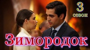 Зимородок 3 сезон. 24 Серия Обзор пересказ