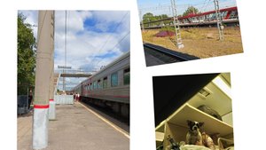Поезд 🚉 523//Едем в плацкарте с детьми и собачкой//Как выжили//Ничто не испортит настроение🌊☀️