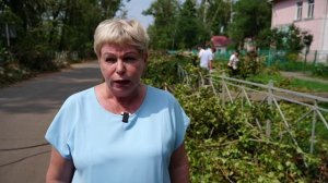 Санитарная пятница (уборка веток)