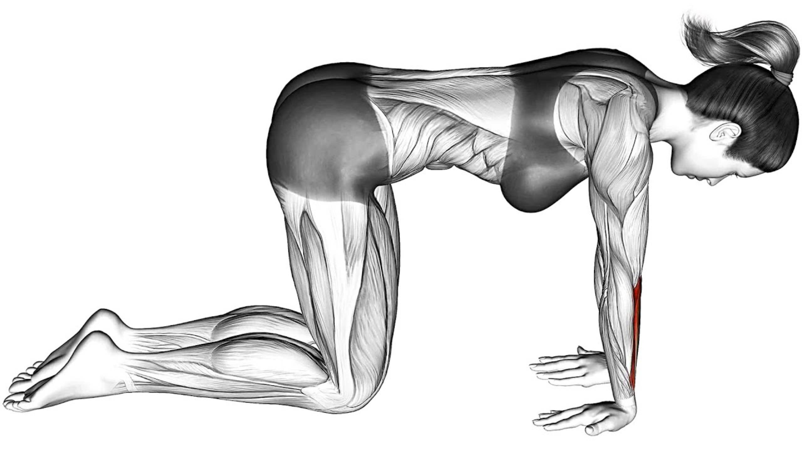 Сделайте это чтобы Укрепить Верхнюю и Нижнюю часть Спины смотреть онлайн