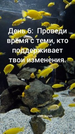 Подписывайся на аккаунт И стань лучшей версией себя ❤️