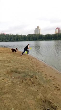 АО Байрон - фризби на рассвете, на воде