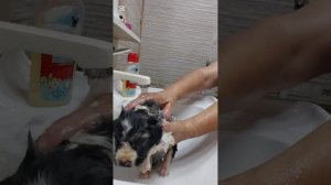 Искупала кроху
