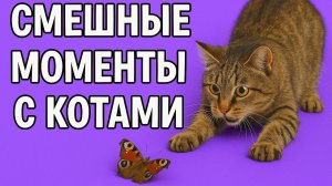 Смех до слёз: лучшие приколы №173