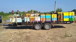 Прицеп-пчеловоз УЗМК 6х2.4 отзыв. Биопасека.