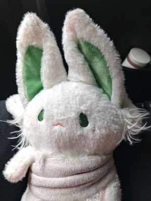 отвечаю на вопросы в коментах