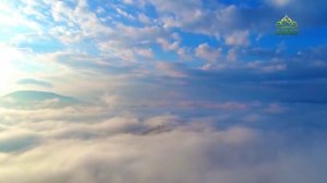 Стихи над миром. Стихотворения Зинаиды Миркиной