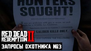 RDR 2 - Запросы Охотника №3 🔥 Это искусство