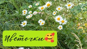 Много цветочков 🥰🍀💐