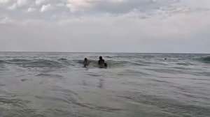Наша сова умерла из-за ракет.На море молнии и дождь.