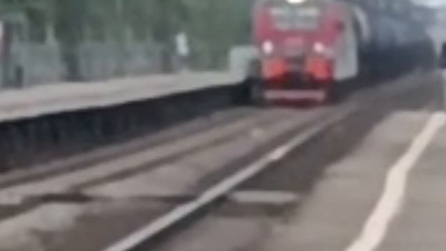 Поезда в Июне Растительное локомотив Октябрьская Железная дорога Перегон Мга - Назия Часть 2 смотреть онлайн