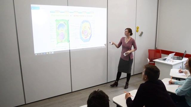 Магнитно-маркерное покрытие раздвижных стен NORMA смотреть онлайн