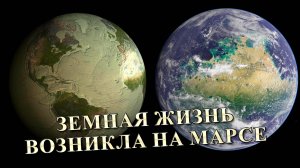 Земная жизнь возникла на Марсе.