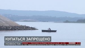 Купаться запрещено: рейды по водоёмам. Новости. 28/07/2025. GuberniaTV