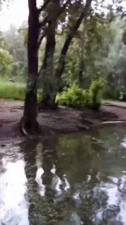 #nature #mycity #housenlands #riverplate