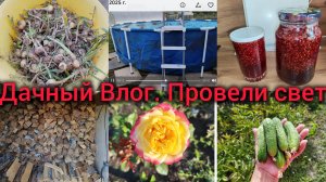 Дачный Влог. Провели свет. Сложили дрова. Выкопала чеснок