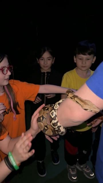 Невероятные обитатели Джуманджи Балашиха смотреть онлайн