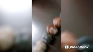 7 собачек😂