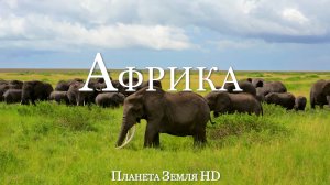 Африка HD - Живописный Фильм-Релаксация с Успокаивающей Музыкой