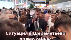 Ситуация в Шереметьево прямо сейчас
